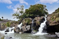 photo?id=10203&suffix=t